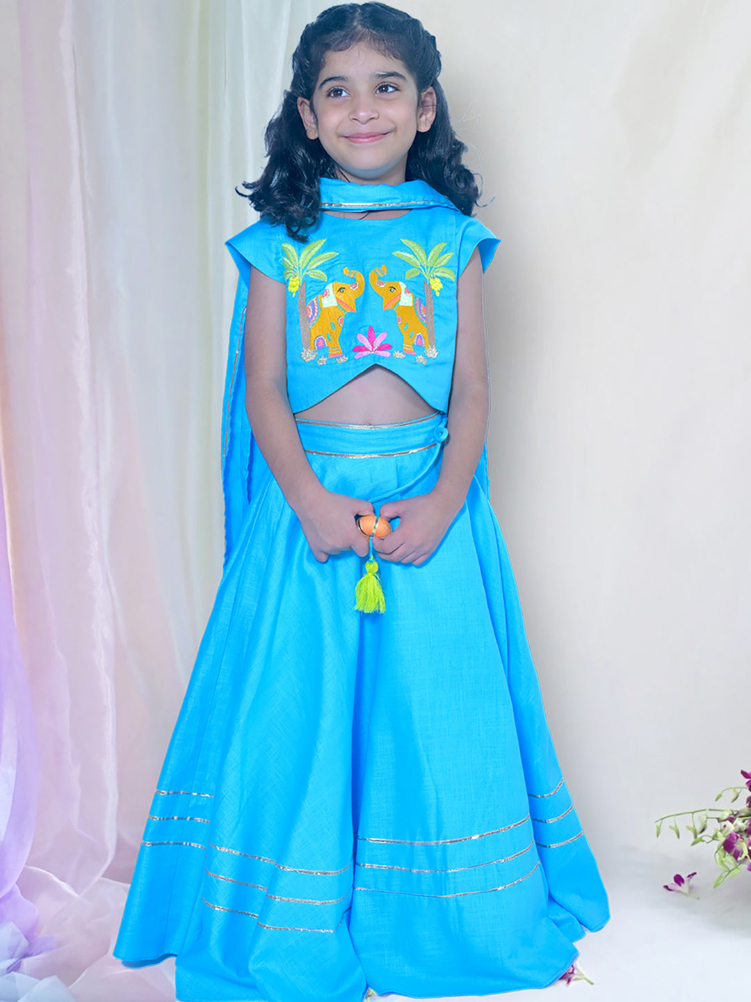 Aqua Elephant Lehenga Set