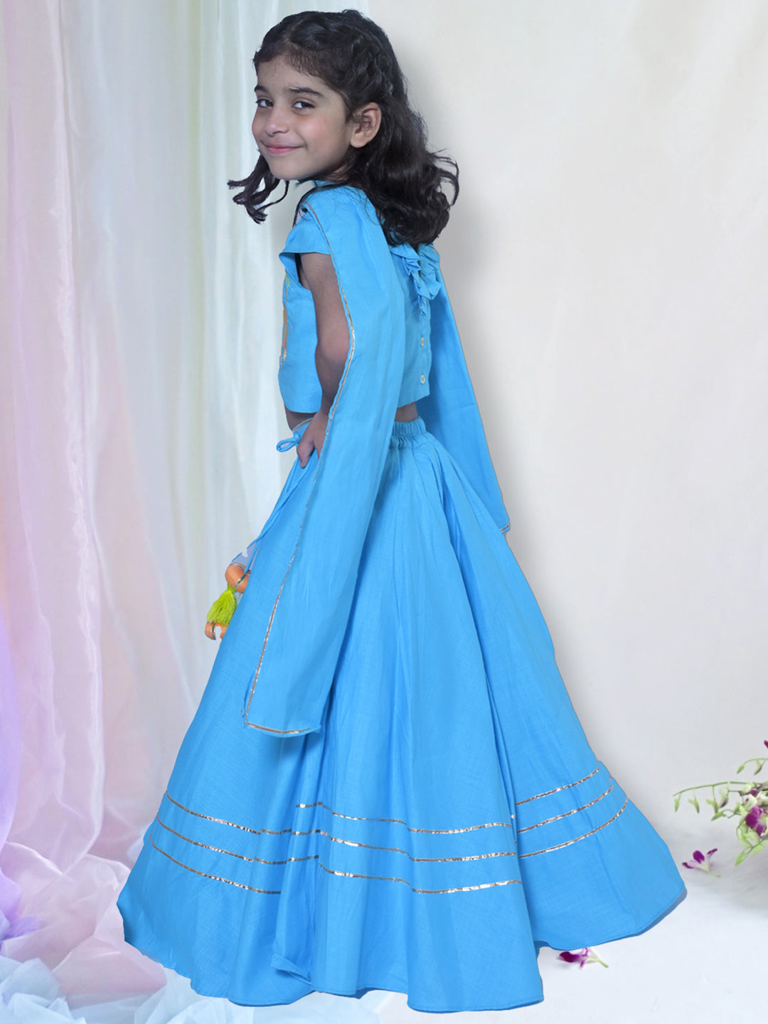 Aqua Elephant Lehenga Set