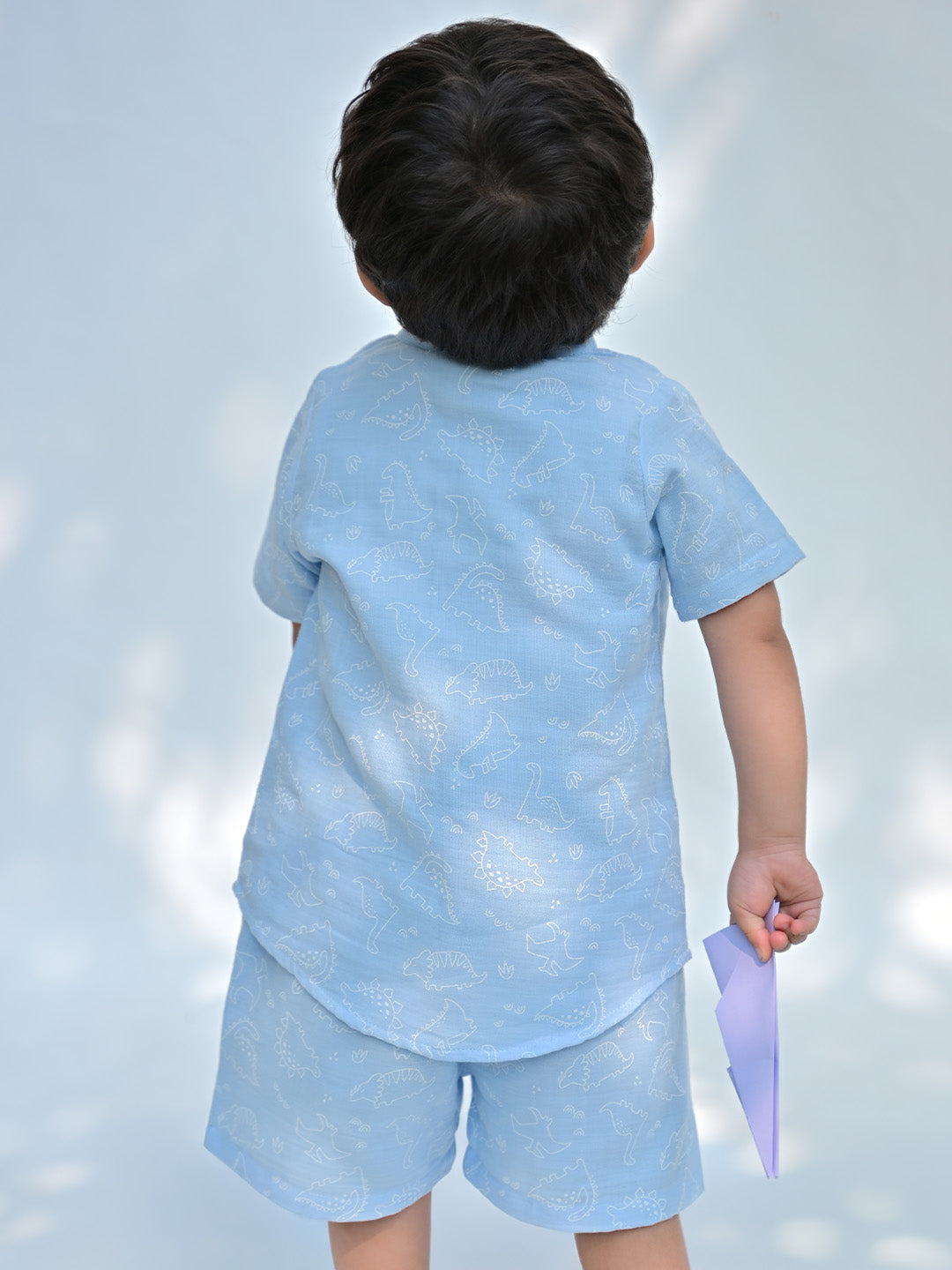 Boys Dinosaur Print Shirt & Shorts Set