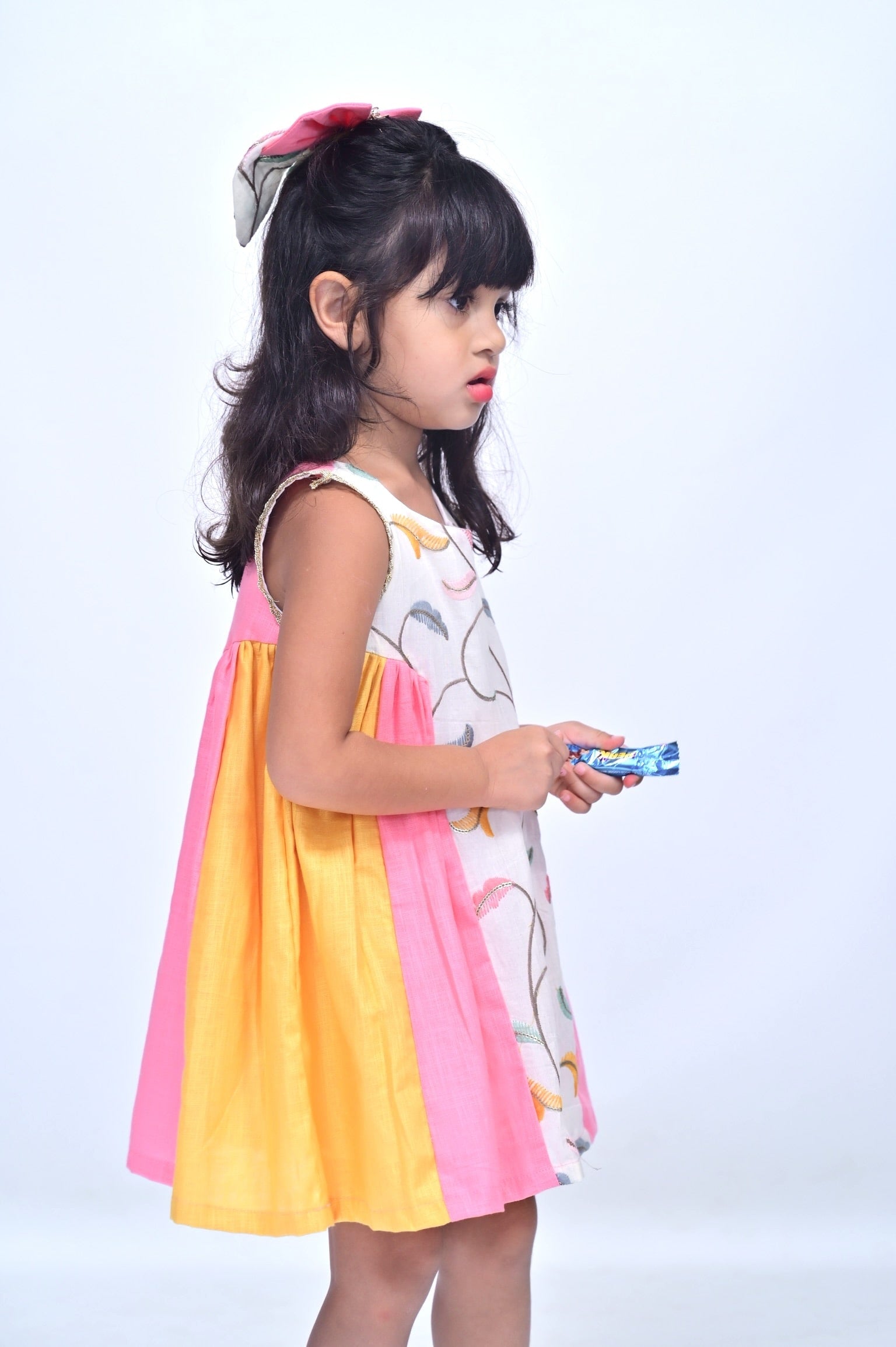 Ethnic Elegance Dress