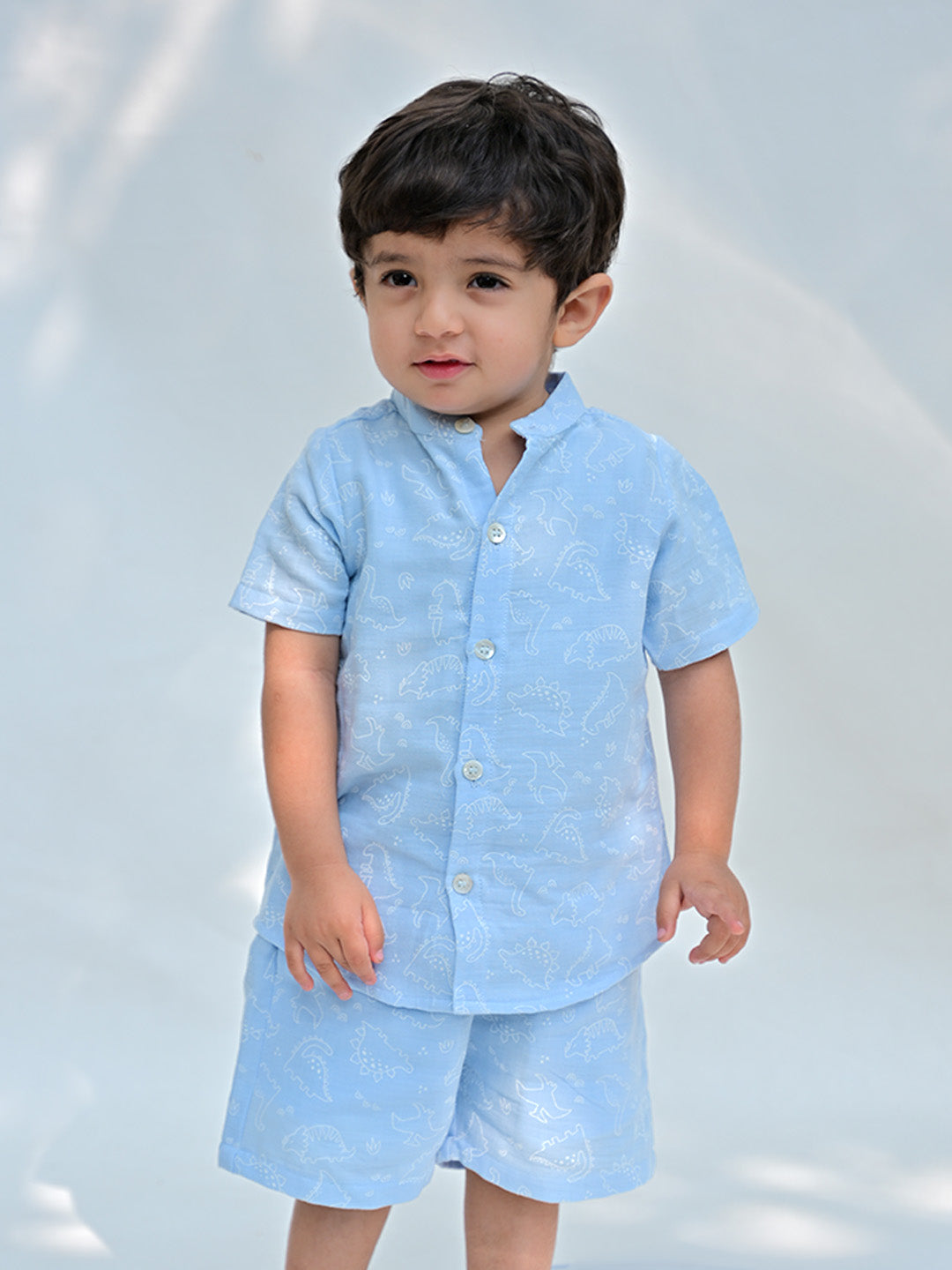 Boys Dinosaur Print Shirt & Shorts Set