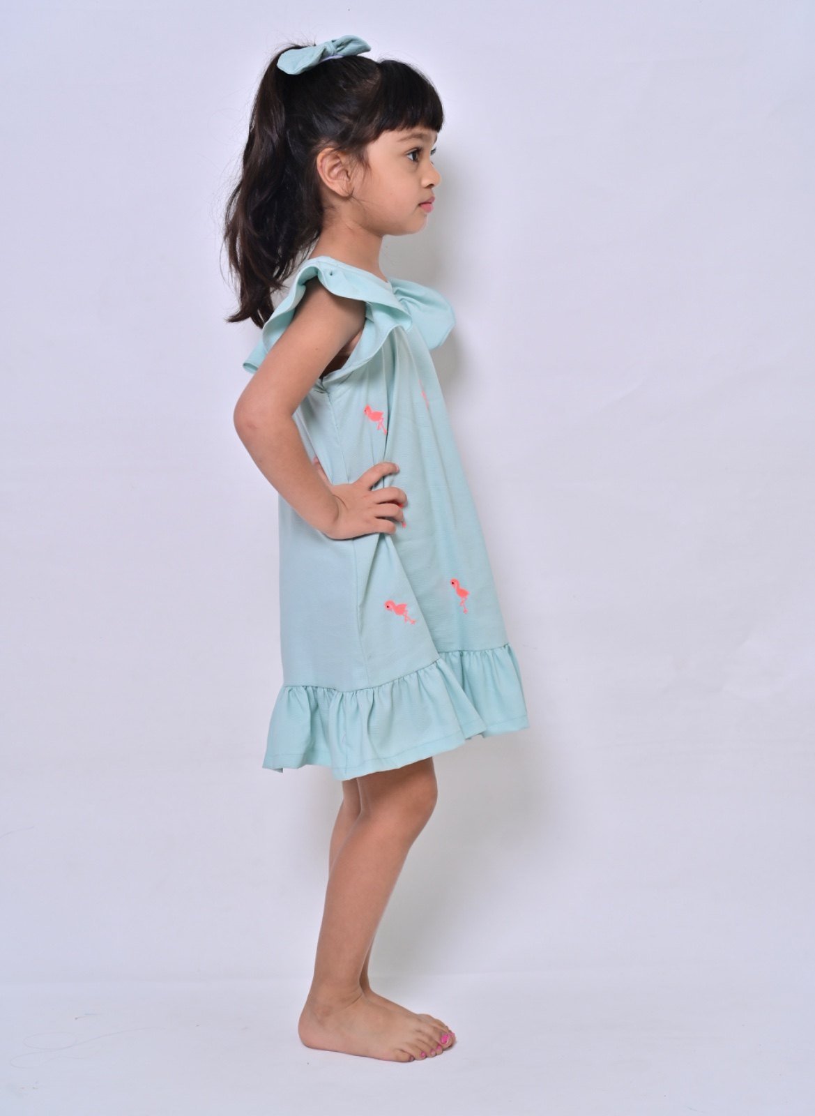 Flamigo Fab Dress