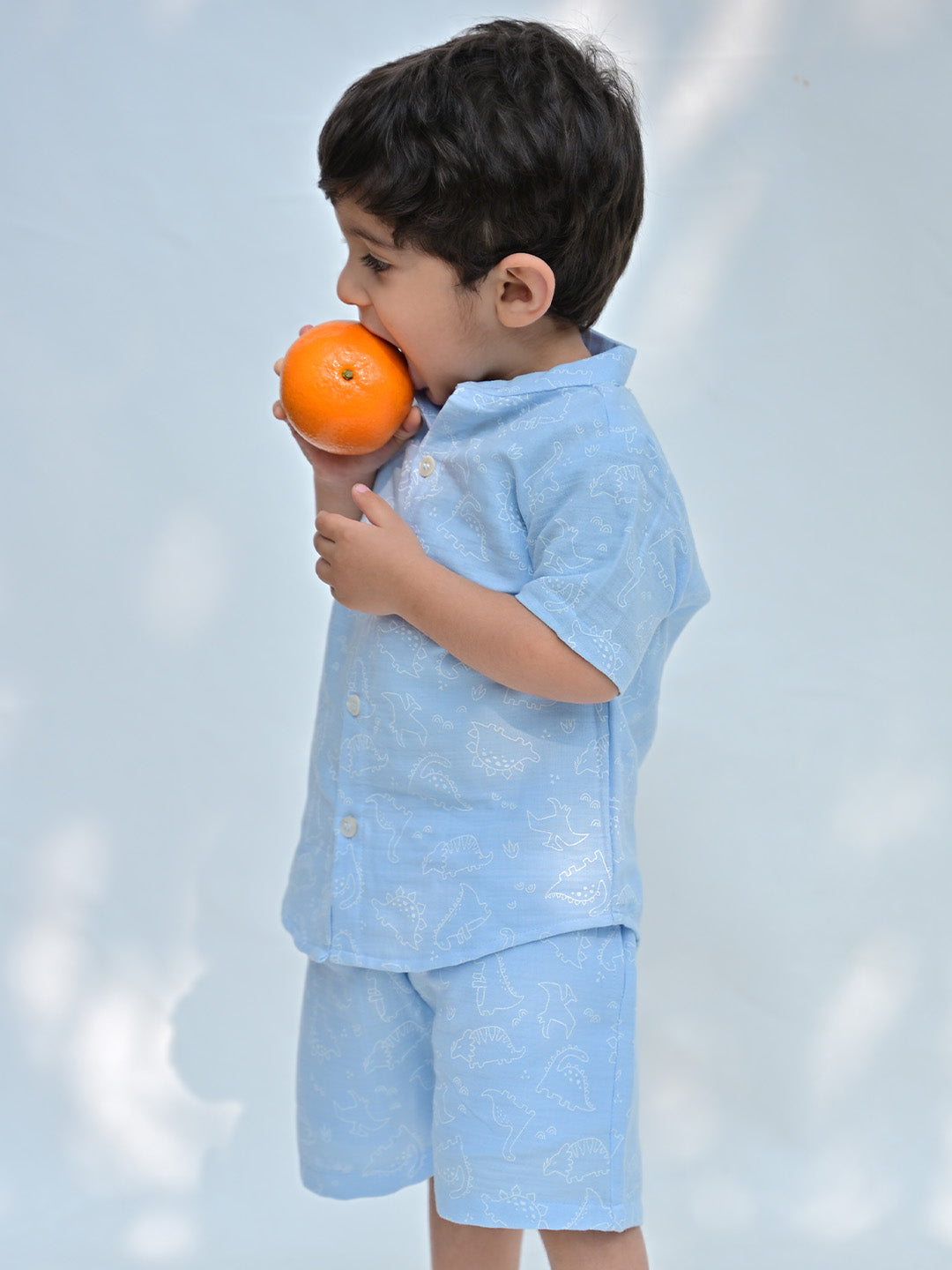 Boys Dinosaur Print Shirt & Shorts Set