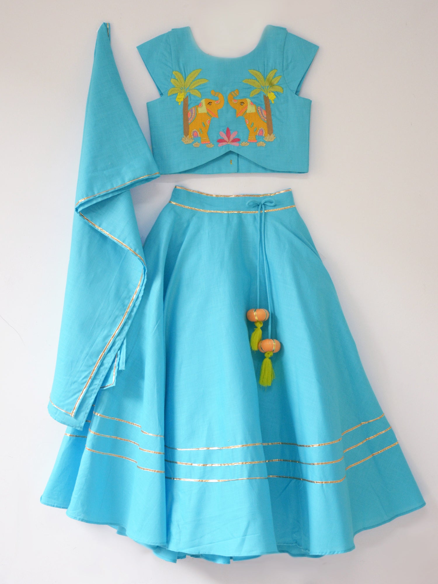 Aqua Elephant Lehenga Set