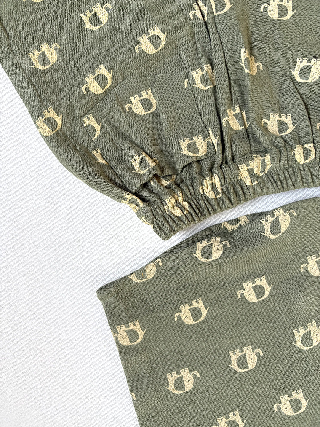 Adorable Green Cotton Co-ord Set for Baby Boys