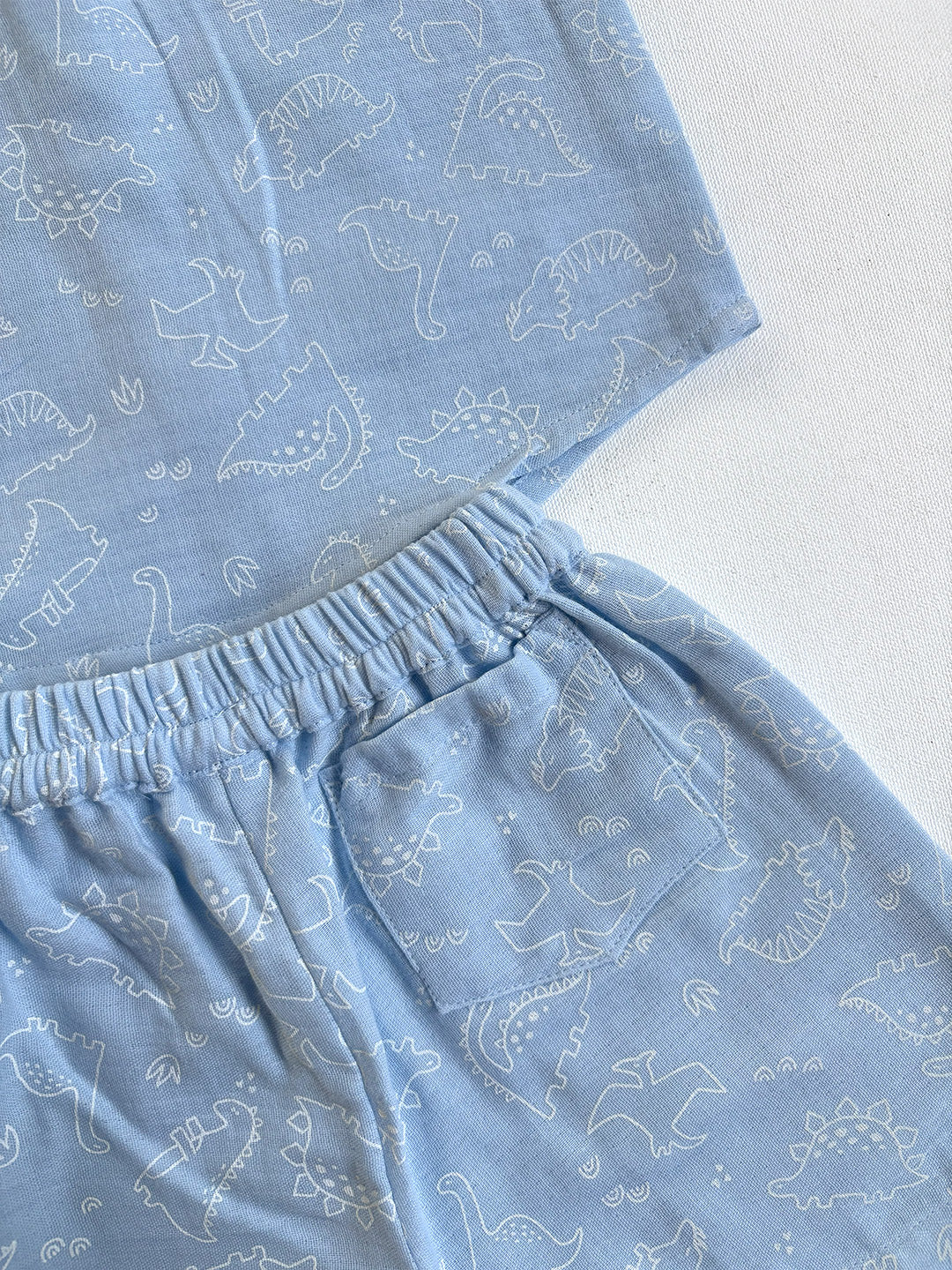 Light Blue Dino Printed Cotton Co-ord Set for Baby Boys