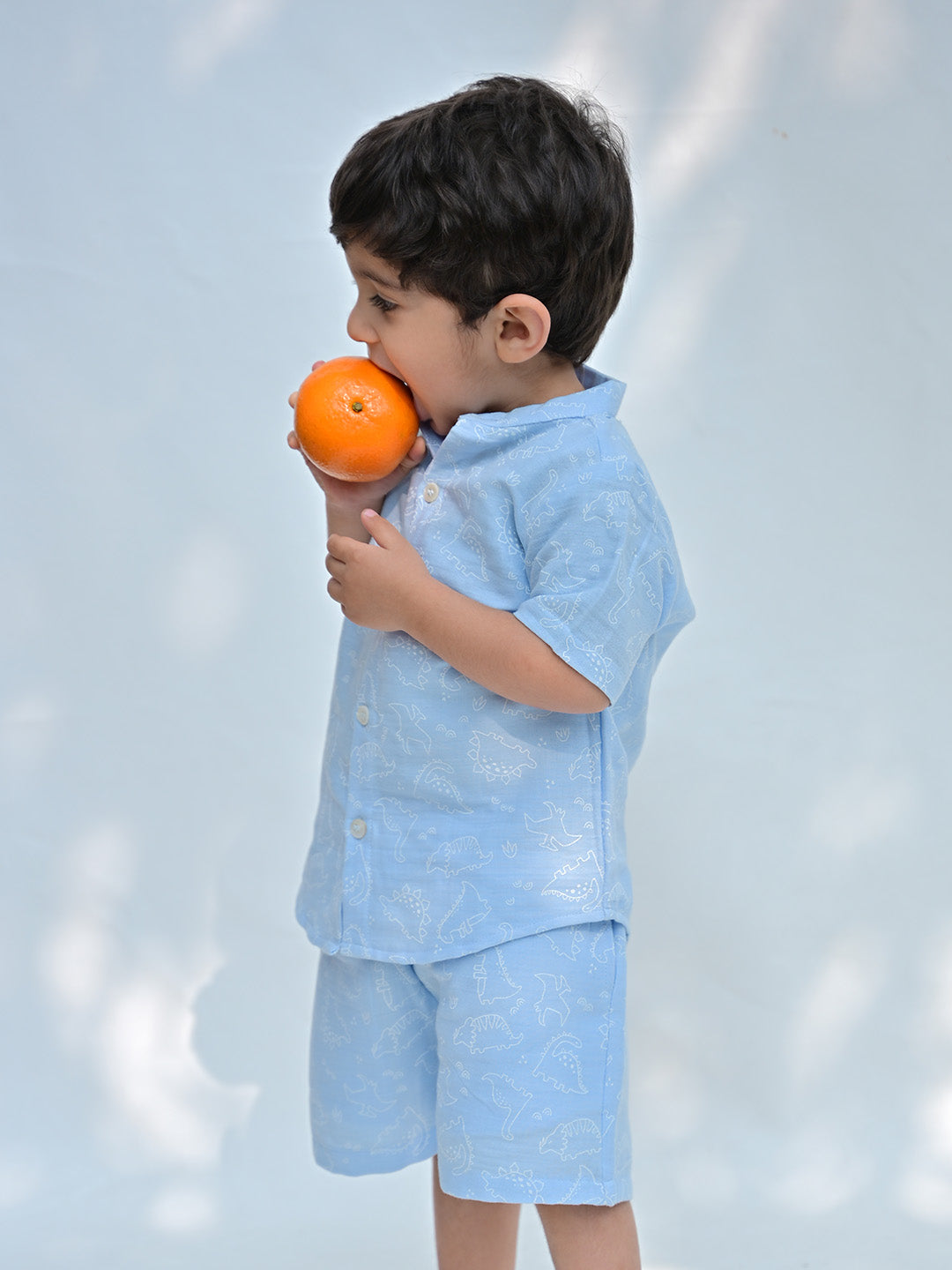 Boys Dinosaur Print Shirt & Shorts Set