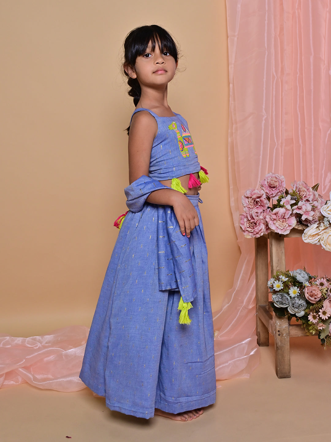 Blue Camel Lehenga