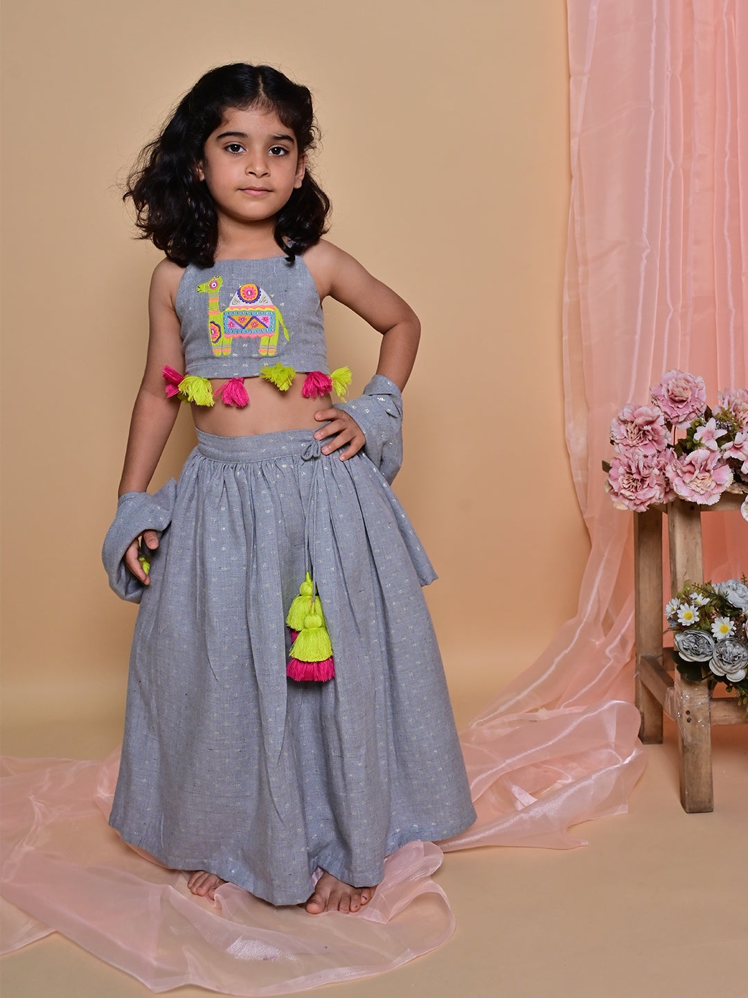 Grey Camel Lehenga