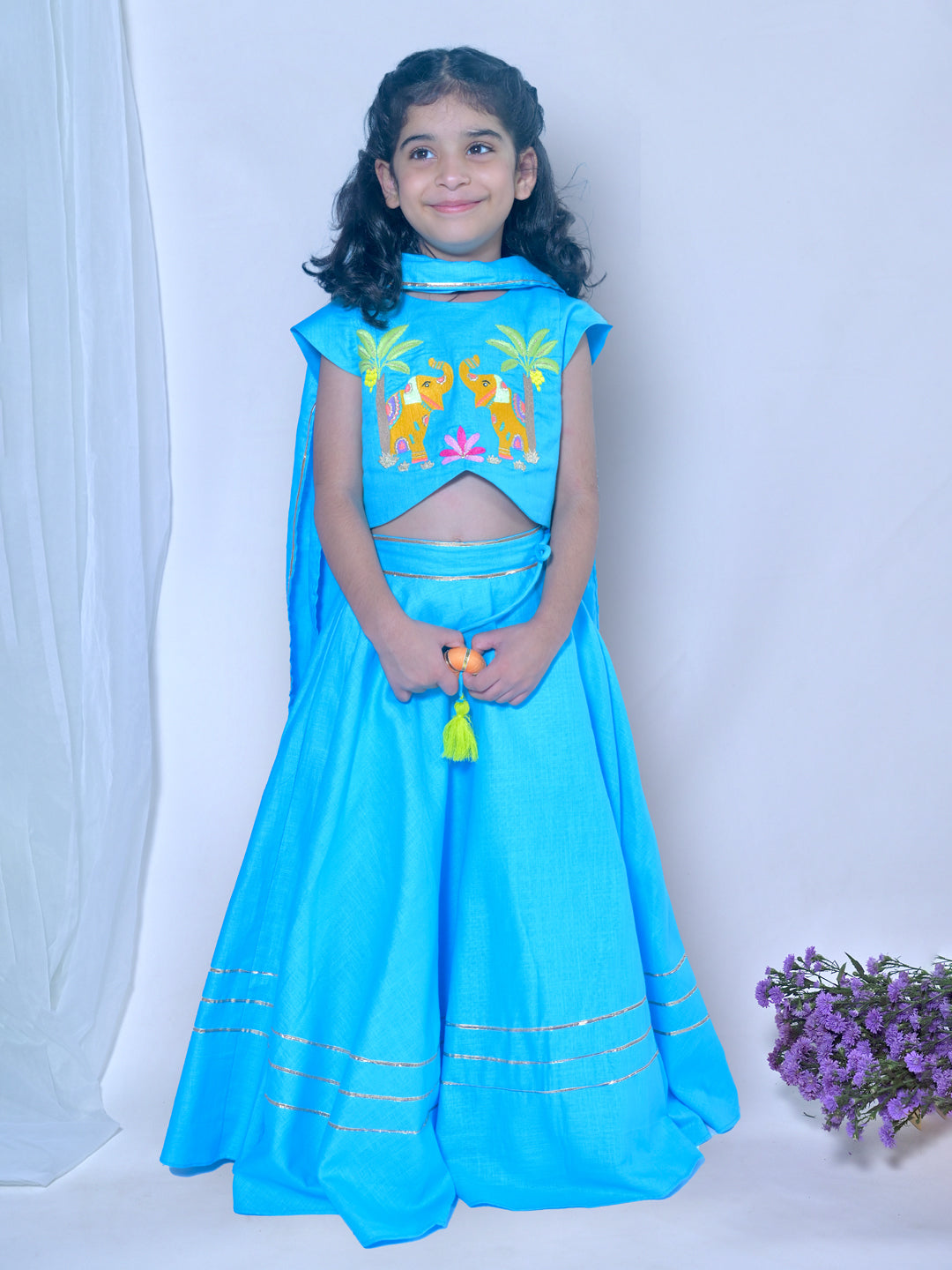 Aqua Elephant Lehenga Set