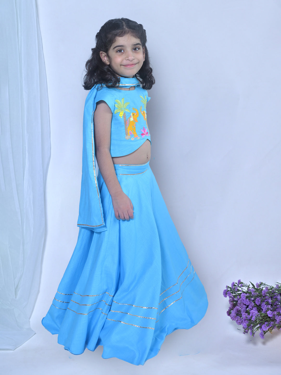 Aqua Elephant Lehenga Set