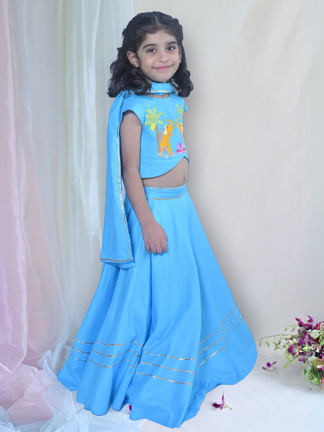 Aqua Elephant Lehenga Set