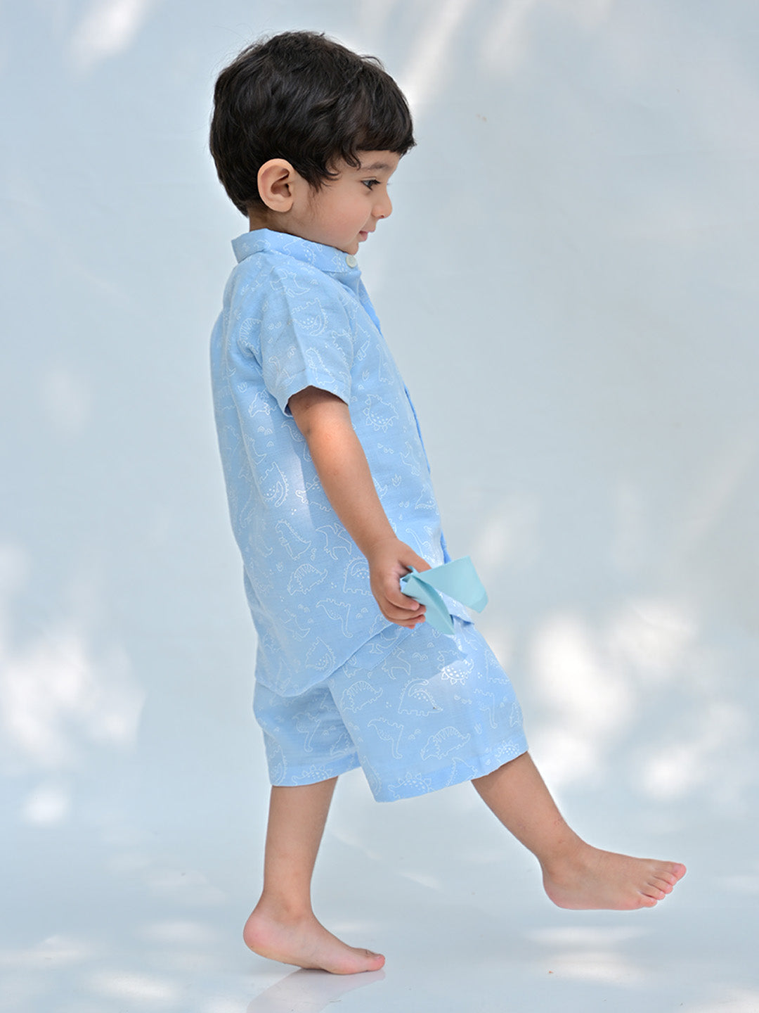 Boys Dinosaur Print Shirt & Shorts Set