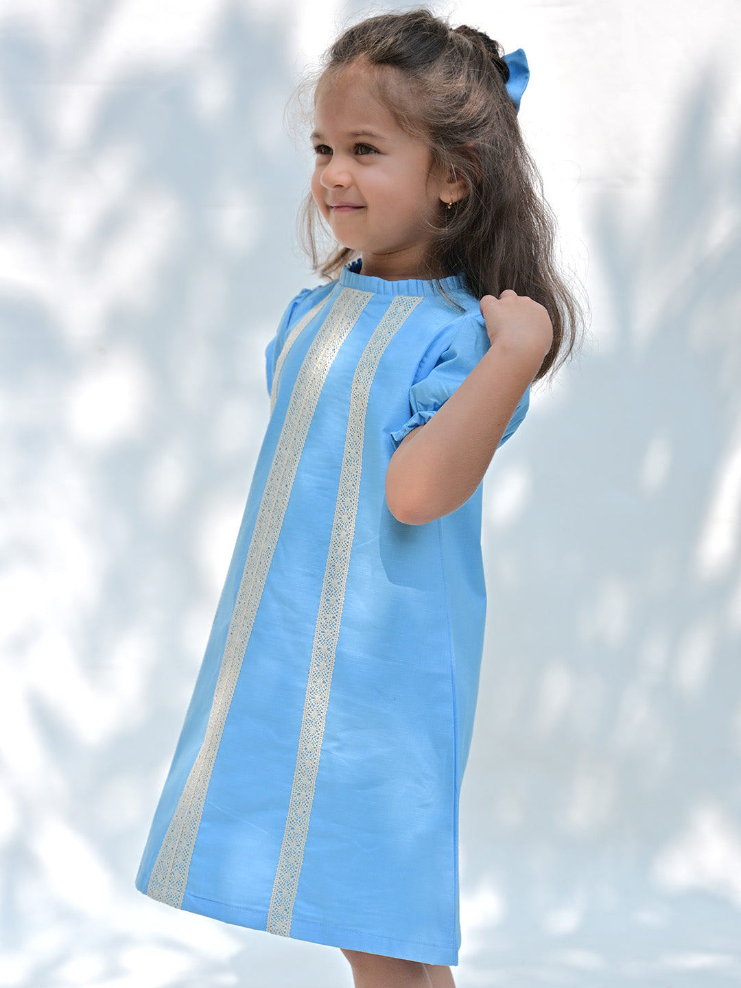 Blue berry kids dress