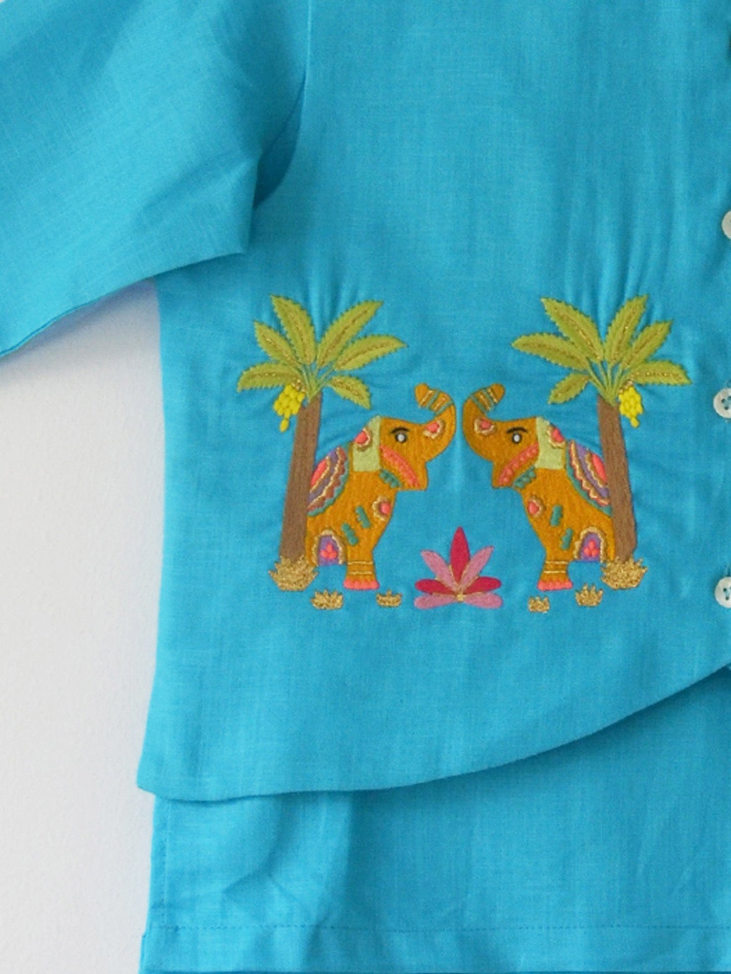Aqua Elephant Kurta Set
